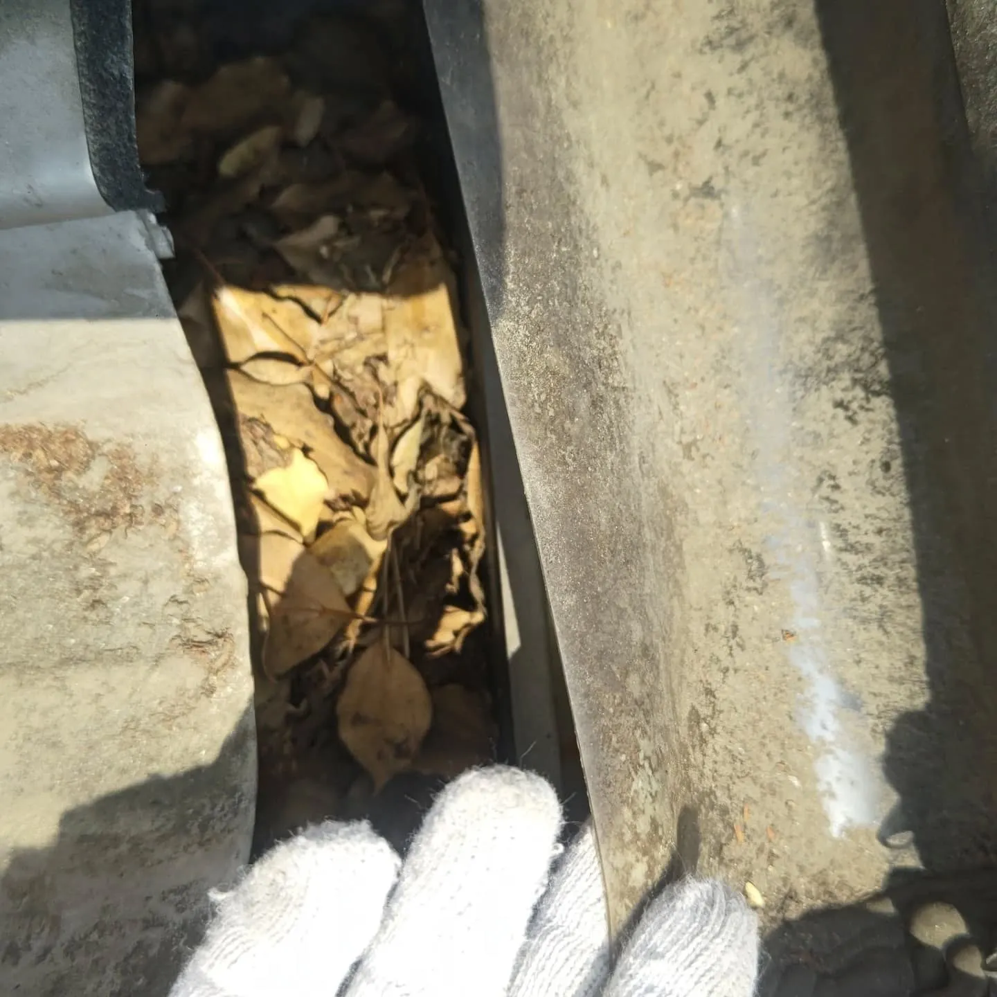 名古屋市中川区某アパートの雨樋に溜まった枯葉を撤去に来ました...