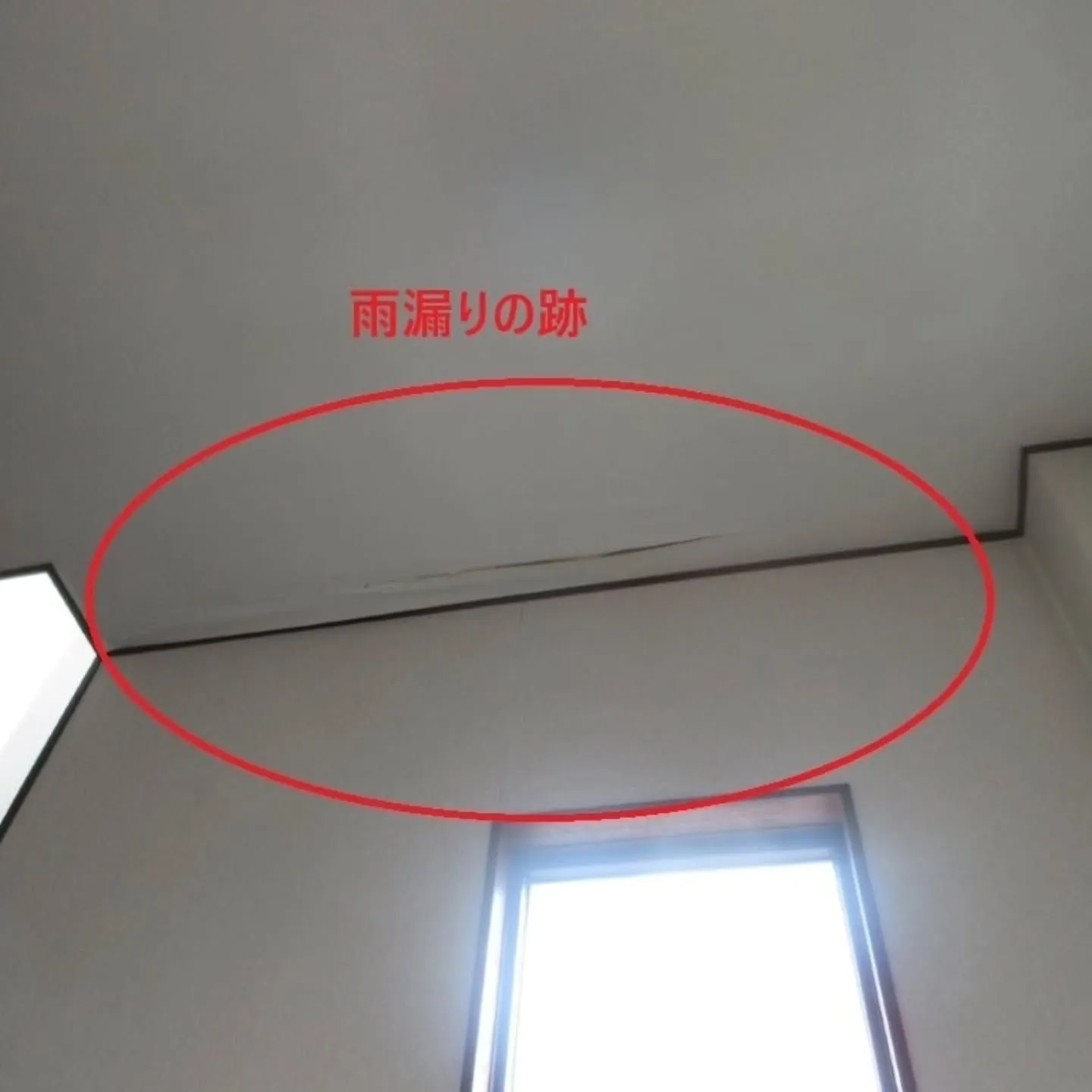 名古屋市南区Ｓ様邸　雨漏り箇所の特定と直し方！