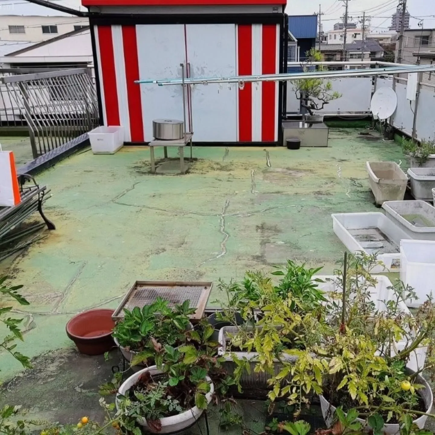 【名古屋市港区 N社様｜ベランダ防水工事スタート🏠】